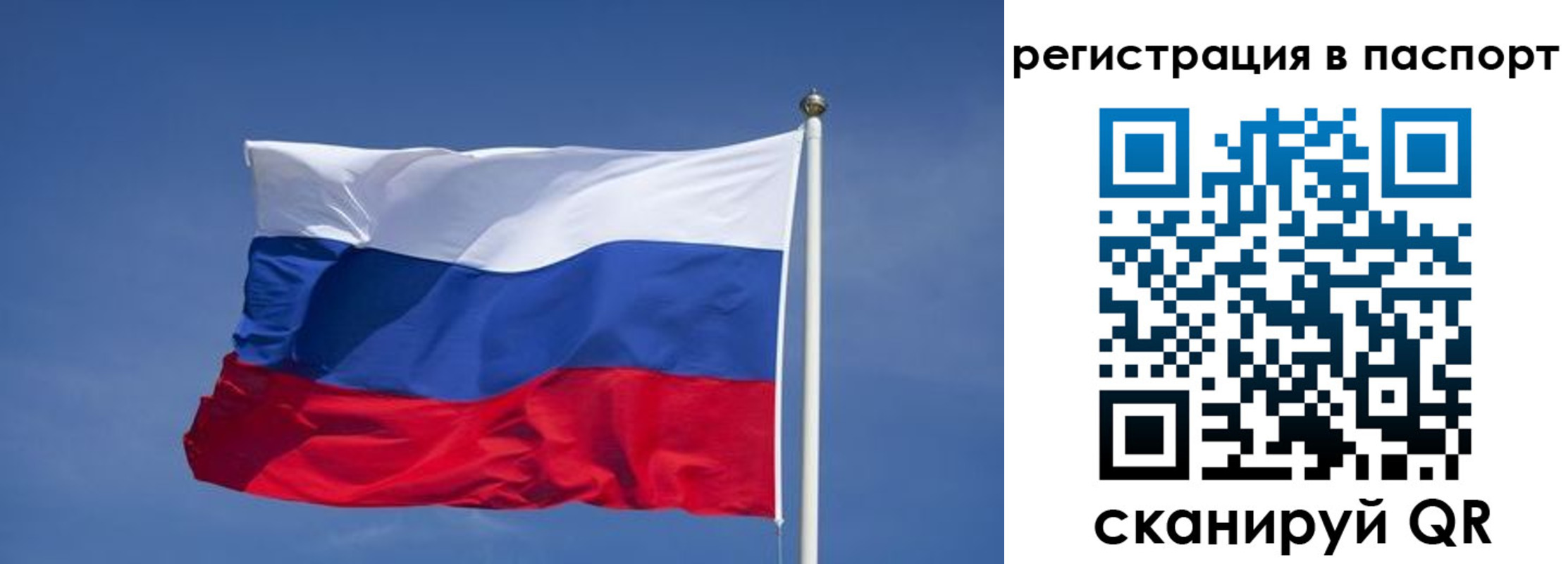 прописка в квартире в Зарайске